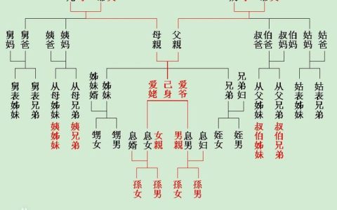 三代以内旁系血亲：亲情纽带的法律边界与人伦考量