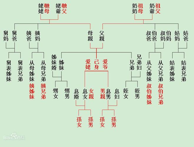 三代以内旁系血亲：亲情纽带的法律边界与人伦考量