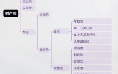 保险知多少：分类、特点与风险应对全解析