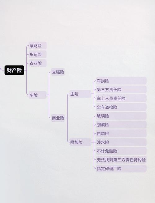保险知多少：分类、特点与风险应对全解析