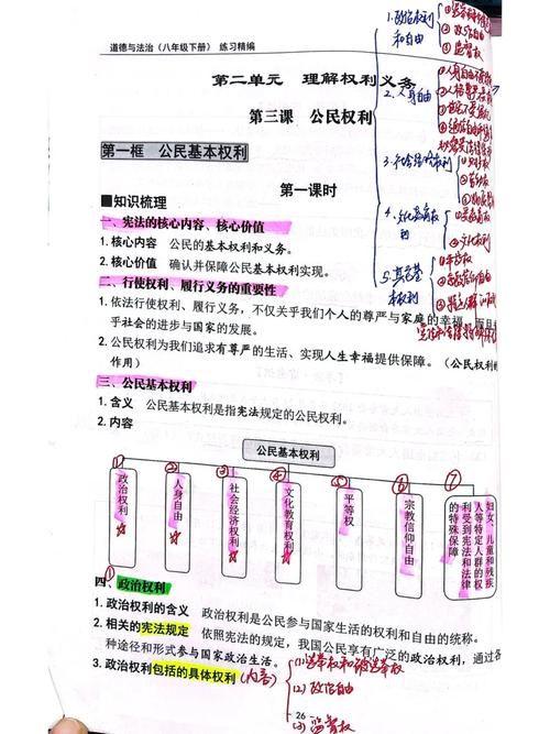 公民政治权利解析：构成、行使与界限
