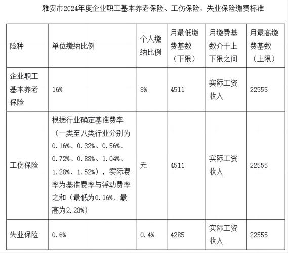 社会保险费解析：构成、缴纳比例、企业责任与个人权益
