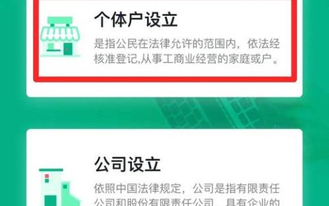 个体户营业执照申请全攻略：流程、条件与实战技巧