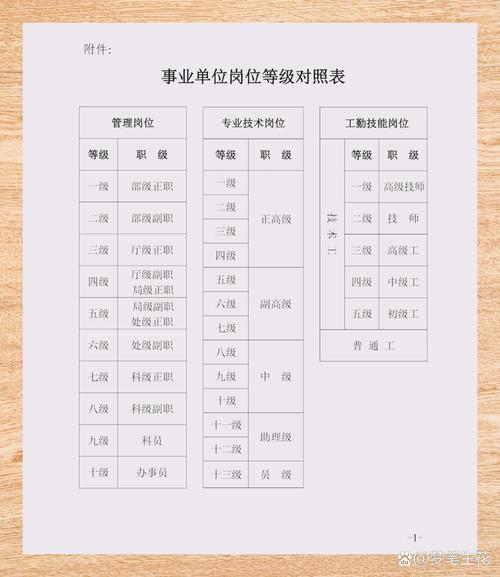 职场万象：工作职位类别知多少？避坑指南