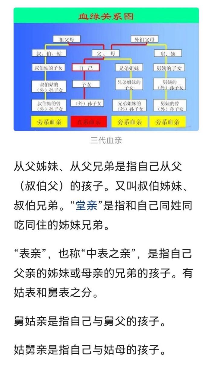 公务员政审“三代”直系亲属深度解析：范围、影响与应对策略