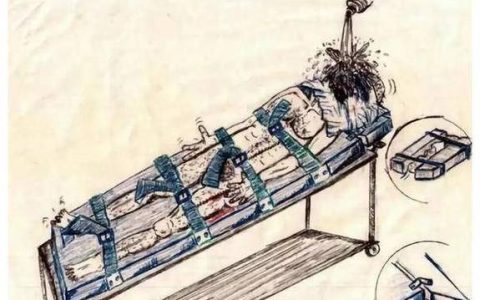 附加刑详解：种类、适用与执行全解析