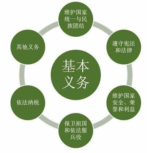 公民基本义务解析：宪法框架下的责任与担当