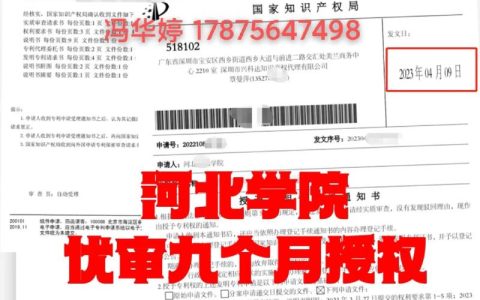 专利授权查询全攻略：如何判断与实务技巧