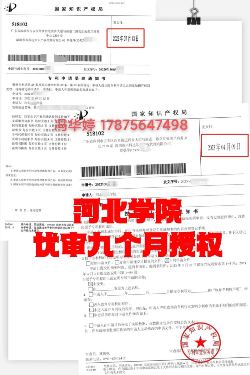 专利授权查询全攻略：如何判断与实务技巧