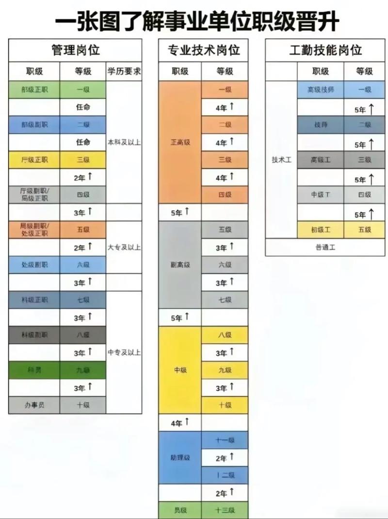 行政主体权威解读：范围、类型与责任边界深度剖析