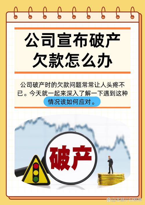 公司破产后债务如何清算：流程与策略解析