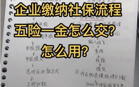 公司缴纳社保全解析：流程、基数与合规要点