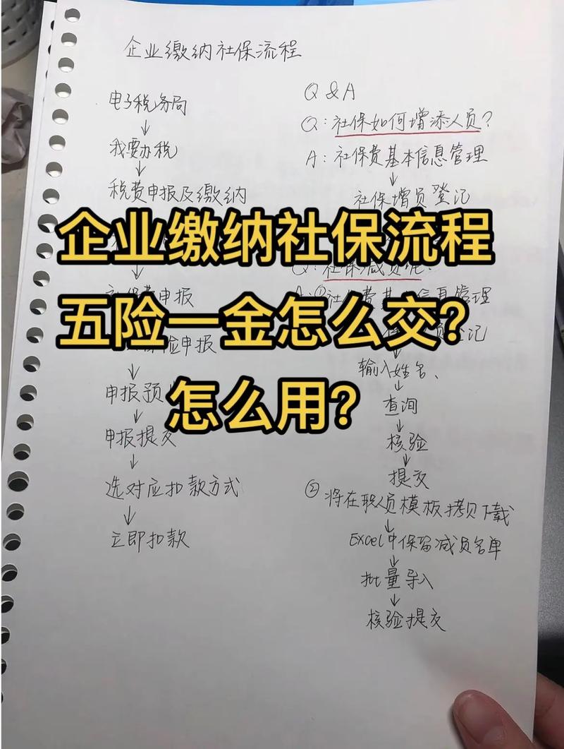 公司缴纳社保全解析：流程、基数与合规要点