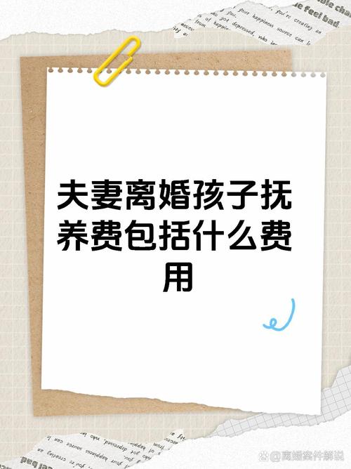 子女抚养费详解：范围、计算与强制执行全指南