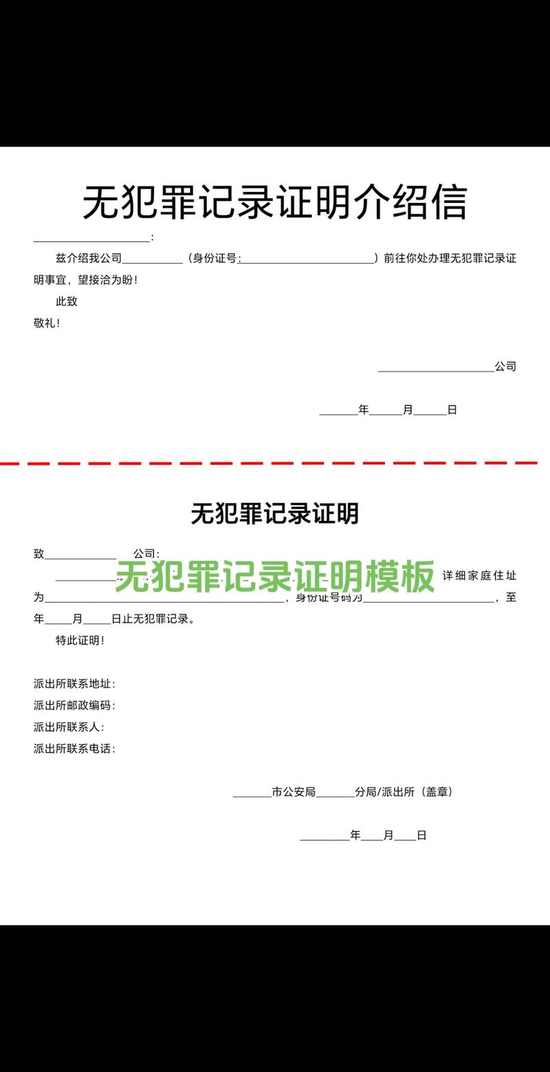 如何开具个人无犯罪记录证明：流程、条件与实用指南