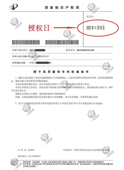 如何查专利授权状态：步骤与技巧全解析