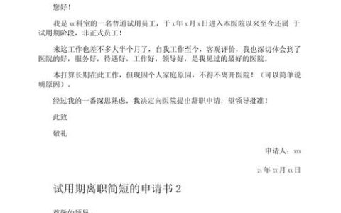 试用期主动离职：工资发放全解析与3大注意事项