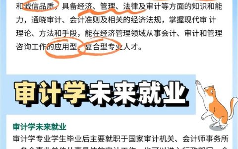 专项审计深度解析：类型、目标与企业合规的关键作用