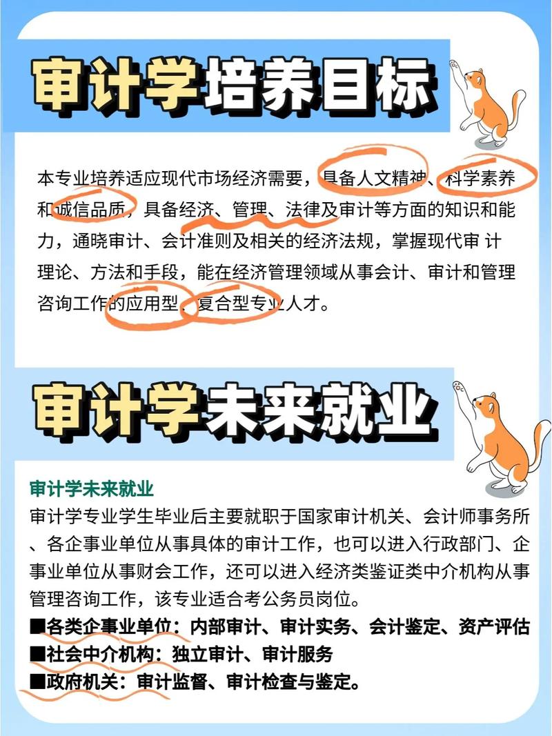 专项审计深度解析：类型、目标与企业合规的关键作用