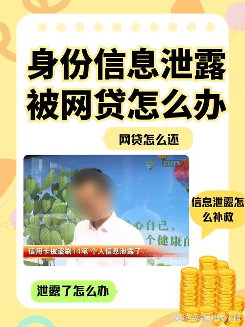 身份信息泄露被网贷怎么办：应对策略与法律救济