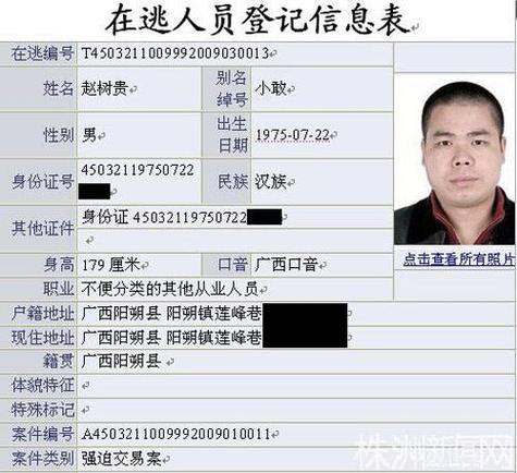 如何查询自己是否为网逃人员：法律途径全解析
