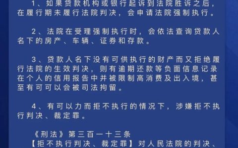 黑网贷不还款后果：法律风险与应对策略