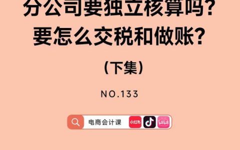 分公司非独立核算报税全解析：合规操作与法律依据