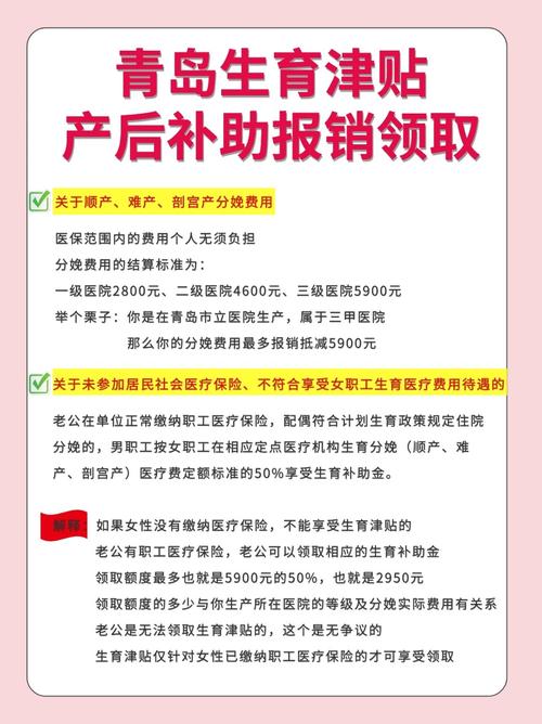 哪些单位能报销保育费？政策与实操全解析