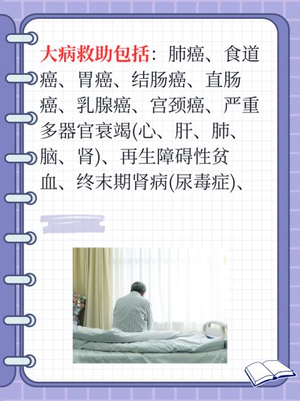大病救助申请全解析：条件、流程与法律边界