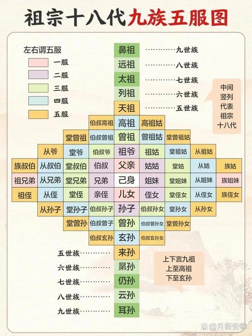 直系亲属范围解析：法律定义与生活应用全攻略