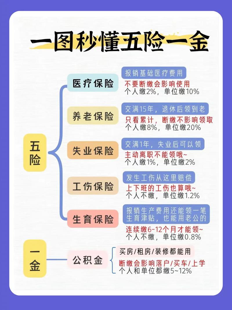 五险一金全解析：内容构成与实务价值