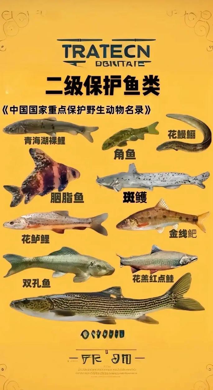国家保护动物名录解析：法律红线与实务难点