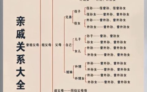 直系亲属的法律边界：定义、范围与实际应用解析