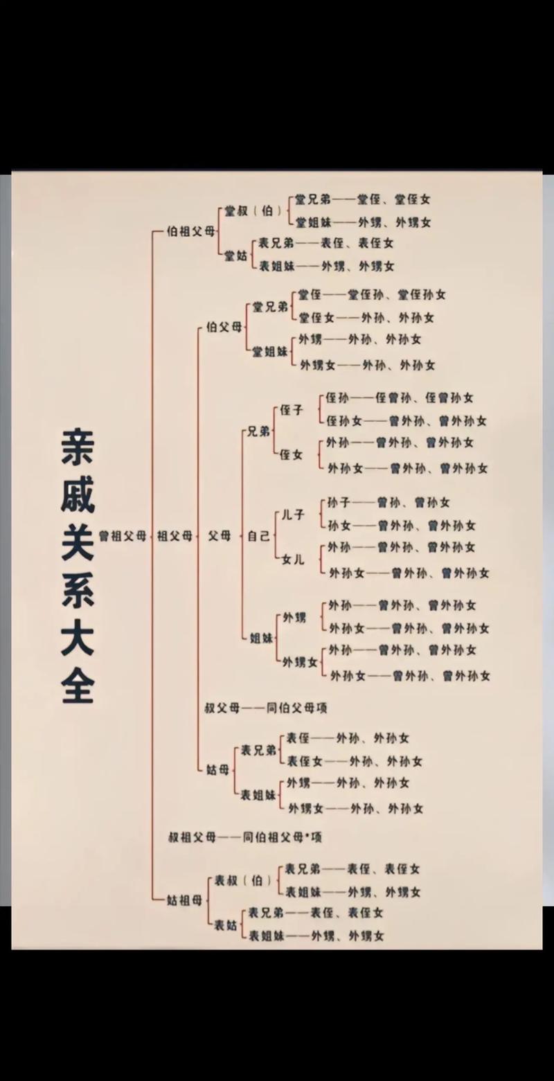 直系亲属的法律边界：定义、范围与实际应用解析