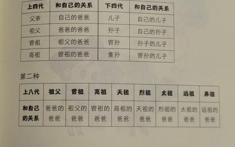 家庭成员范围全解析：法律如何界定你的家人？