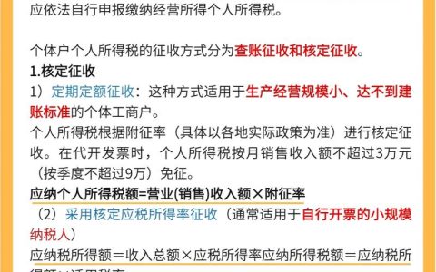 个体工商户税务全解析：必缴税种与优惠政策