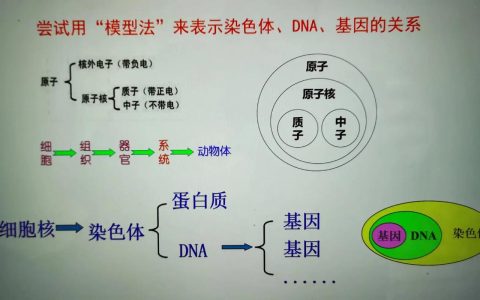三代旁系亲属全解析：范围界定与实务应用