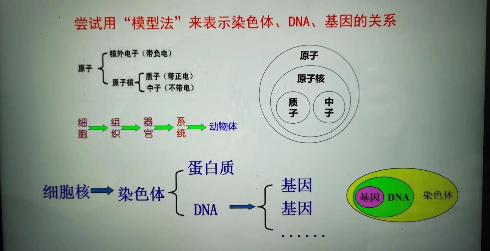 三代旁系亲属全解析：范围界定与实务应用