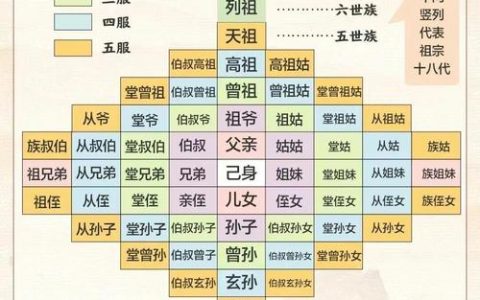 亲人范围界定：中国法律下的血缘与姻亲全解析