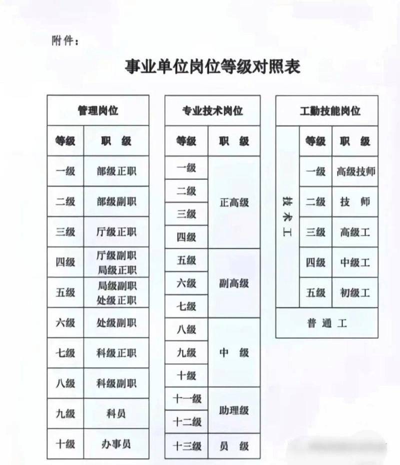 事业单位全类型解析与编制选择指南