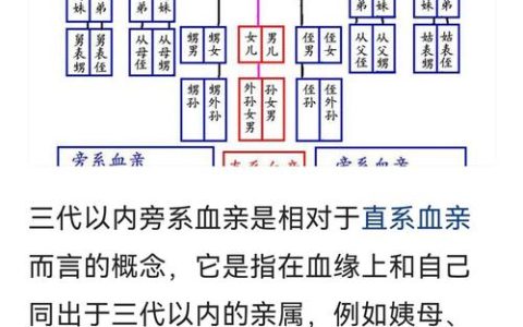 三代以内旁系血亲的法律边界与现实困惑解析