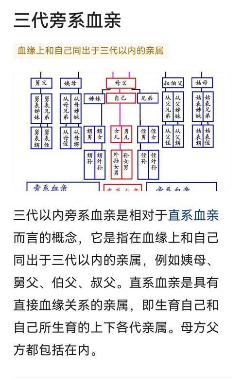 三代以内旁系血亲的法律边界与现实困惑解析