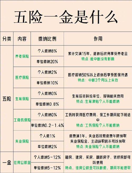 五险一金全解析：权益保障与缴纳背后的法律逻辑