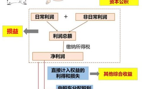所有者权益构成解析与法律保护全攻略