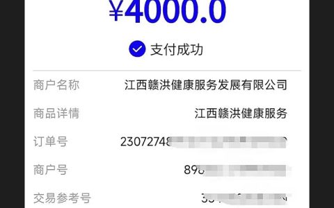 付款方式的法律风险与选择策略解析