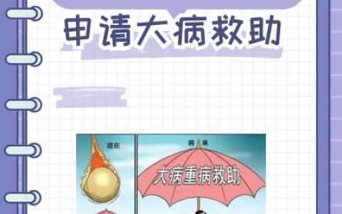大病救助全解析：适用疾病与申领指南
