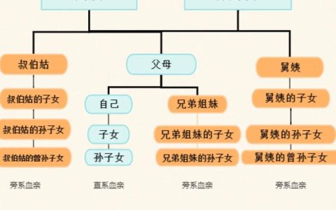 直系亲属范围解析：法律定义与现实应用