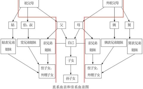 近姻亲关系详解与法律边界全解析