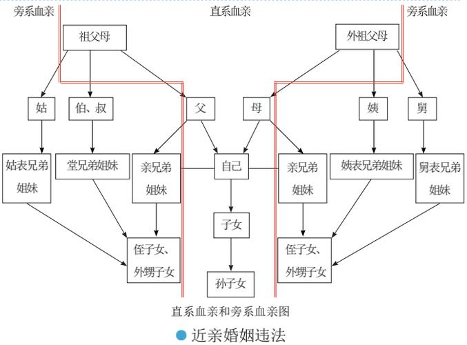 近姻亲关系详解与法律边界全解析