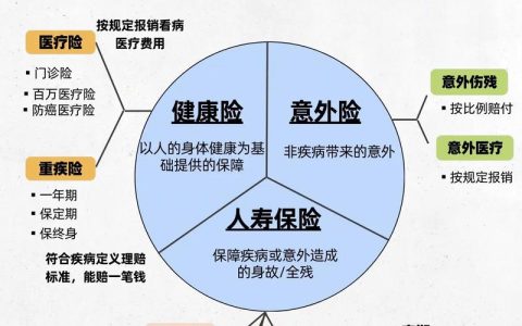 保险险种全解析与选择实用指南